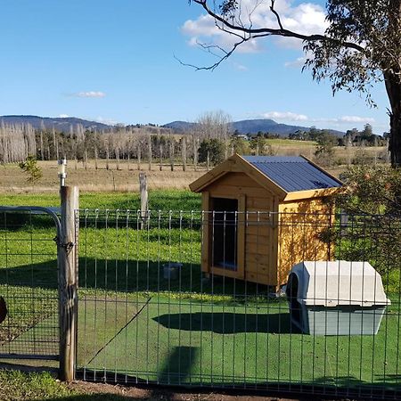 The Wattle Lodge Glendon Brook Exterior foto