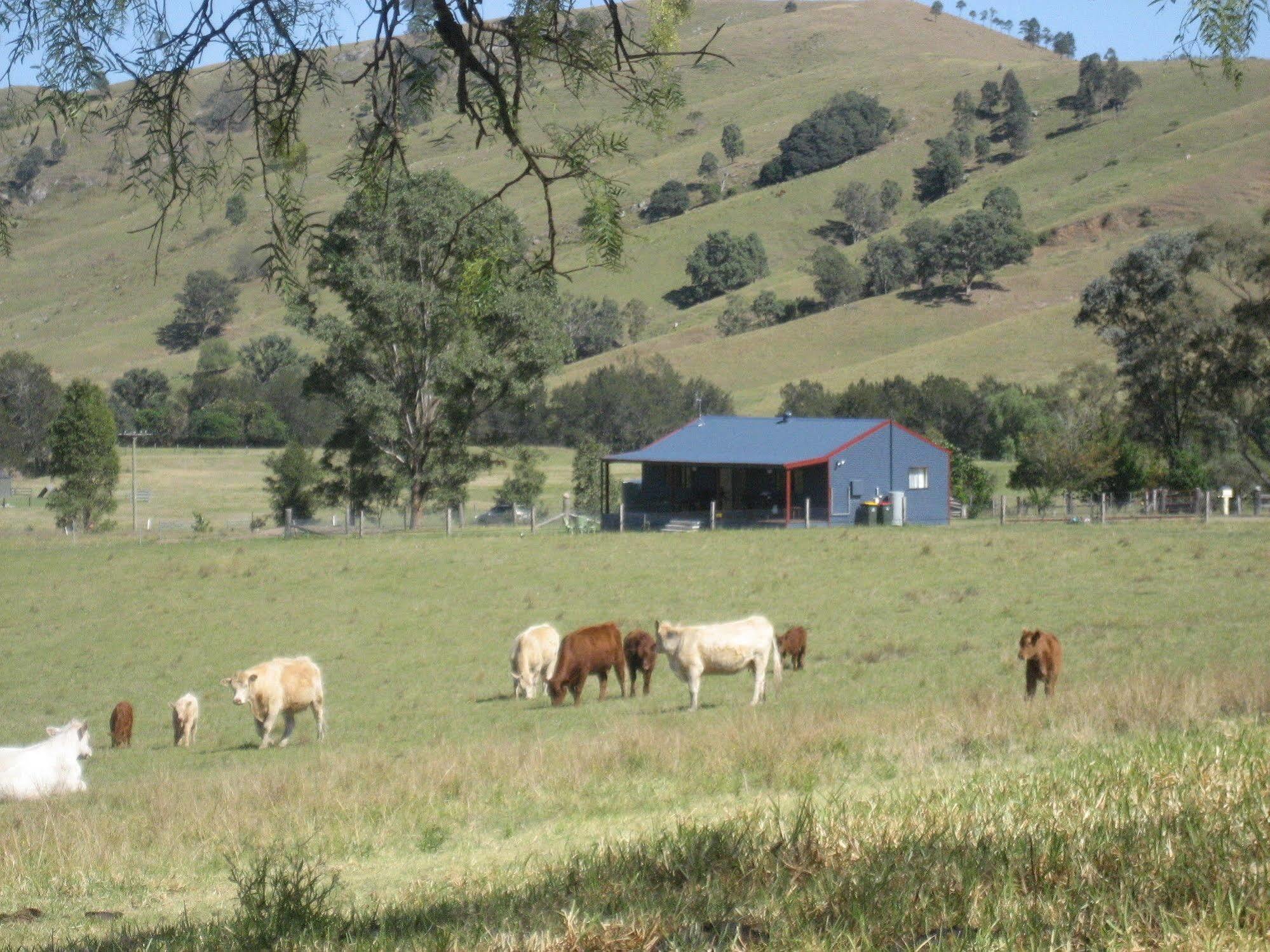 The Wattle Lodge Glendon Brook Exterior foto